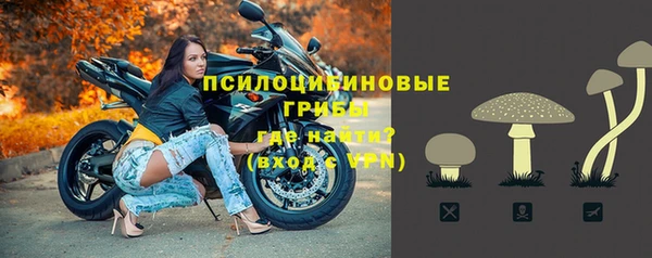 прущие крисы Горно-Алтайск