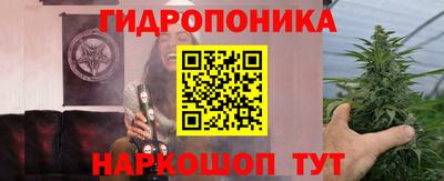 ешки Тверь