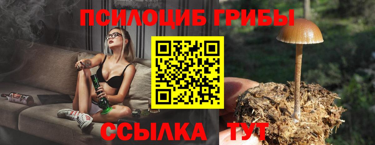 Псилоцибиновые грибы прущие грибы  Вход с VPN  Ростов-на-Дону 